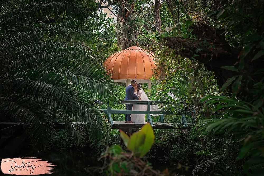 Shangri-la Springs, Shang ri la SPrings, Shangrila Springs, Wedding Phtoographer, WEdding Photos, Doodle FLy Photography, Davids Bridal Fort Myers, Artichoke and company, Weddings, SWFL Wedding, 
