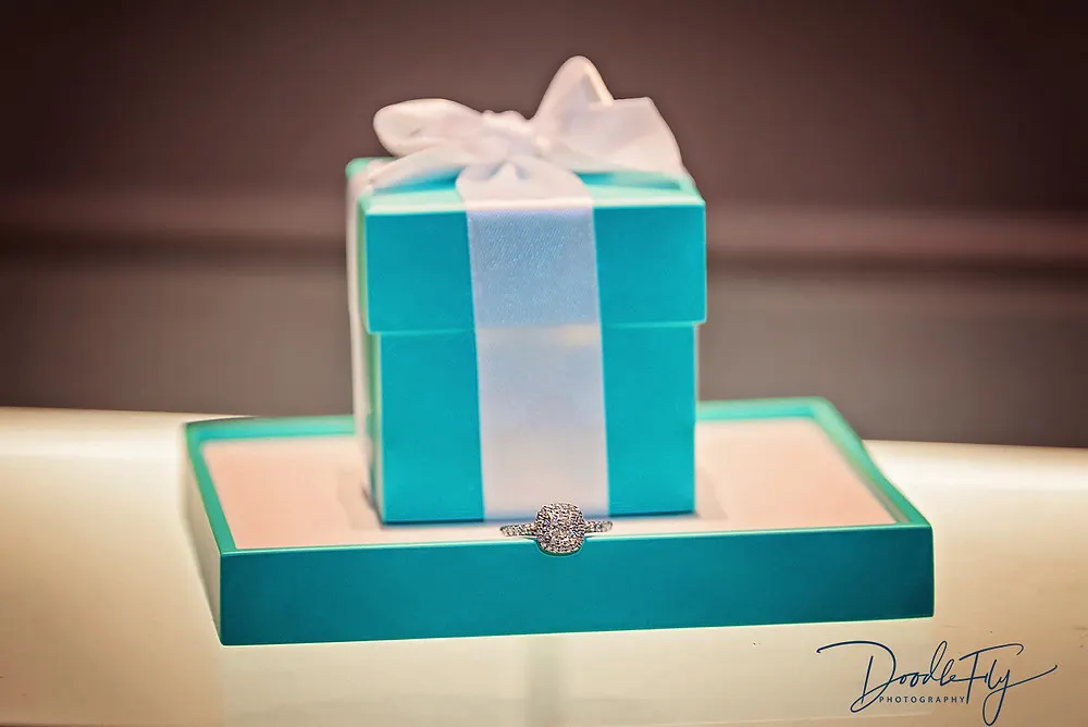 Wedding at Tiffany's by Doodle Fly Photography